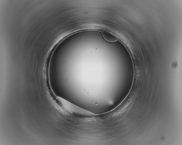 X0000097630843200803071529