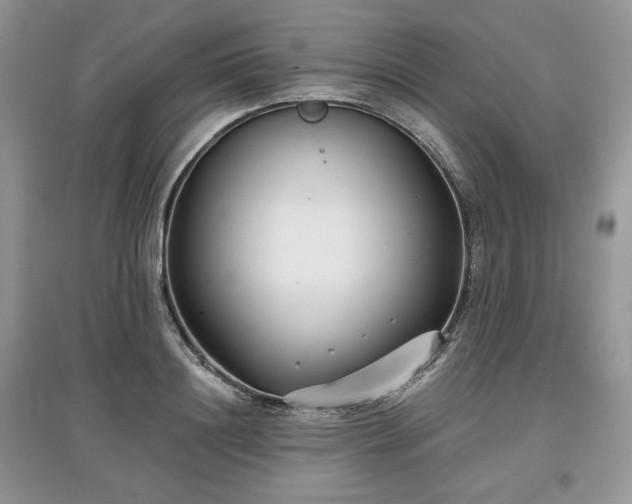 X0000097630844200803071529