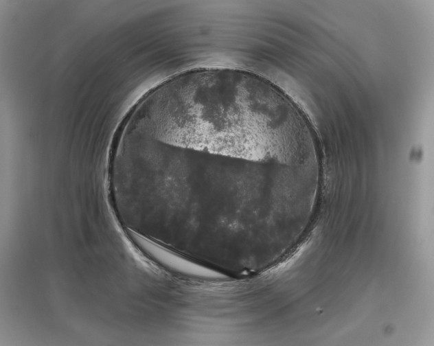 X0000097630845200803071529