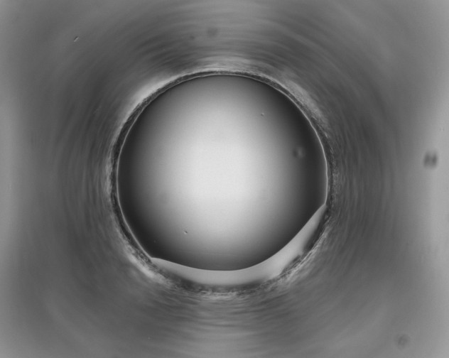 X0000097630846200803071529