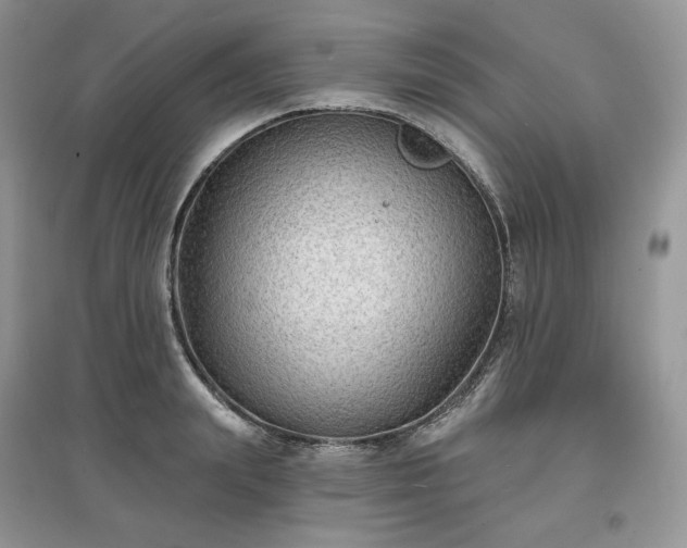 X0000097630847200803071529