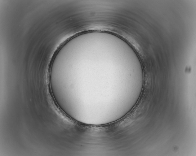 X0000097630848200803071529