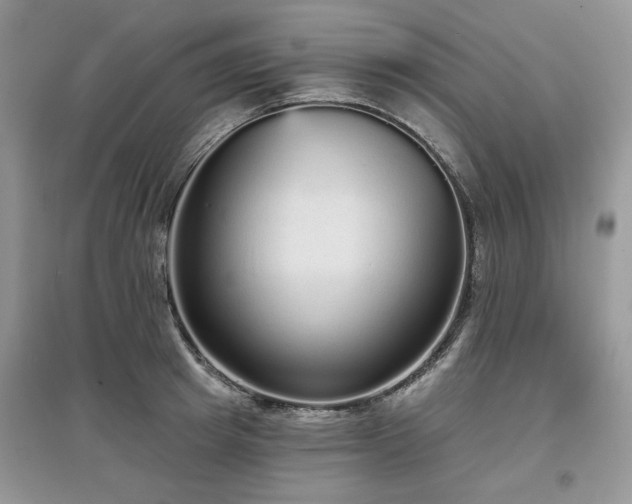 X0000097630849200803071529