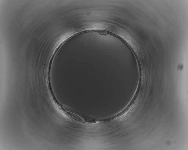 X0000097630850200803071529