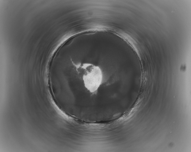 X0000097630851200803071529