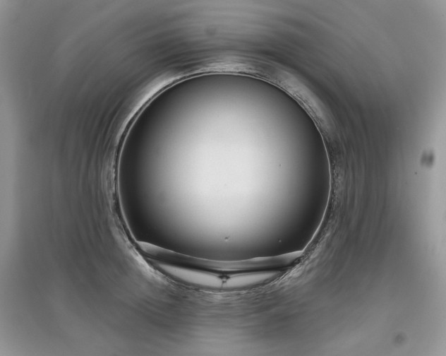 X0000097630852200803071529