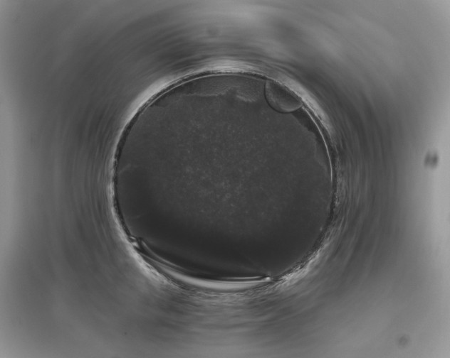 X0000097630853200803071529