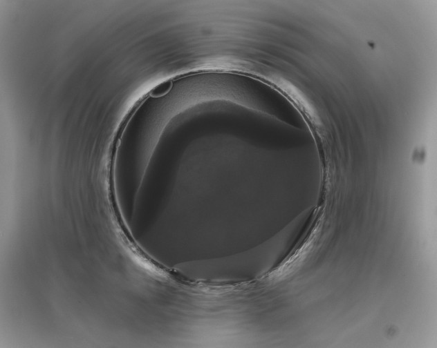 X0000097630854200803071529