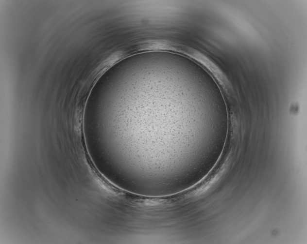 X0000097630857200803071529