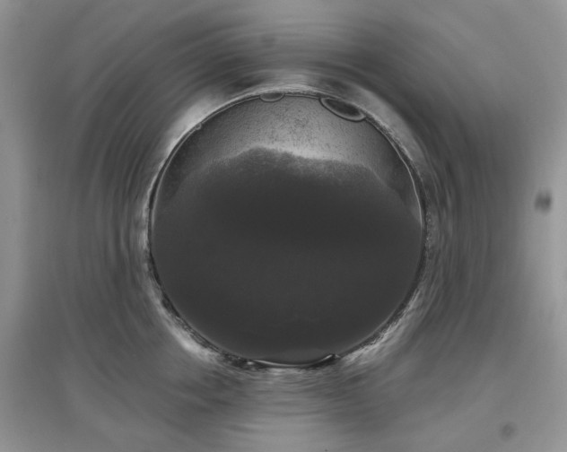 X0000097630858200803071529