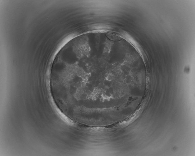 X0000097630859200803071529