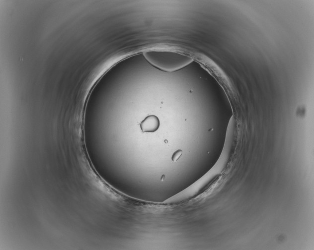 X0000097630860200803071529