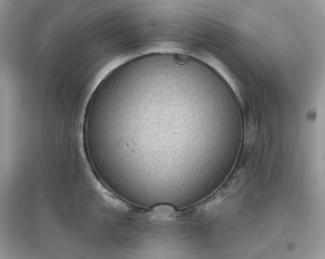 X0000097630861200803071529