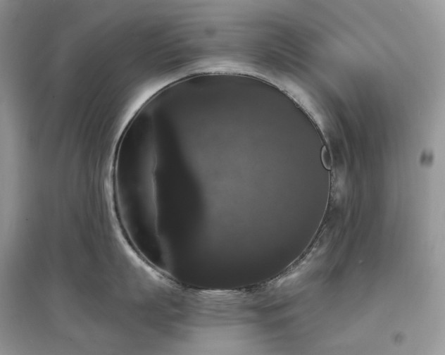 X0000097630863200803071529