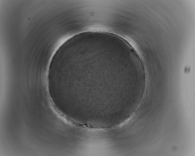 X0000097630864200803071529