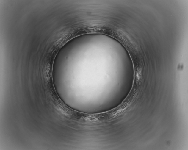 X0000097630867200803071529