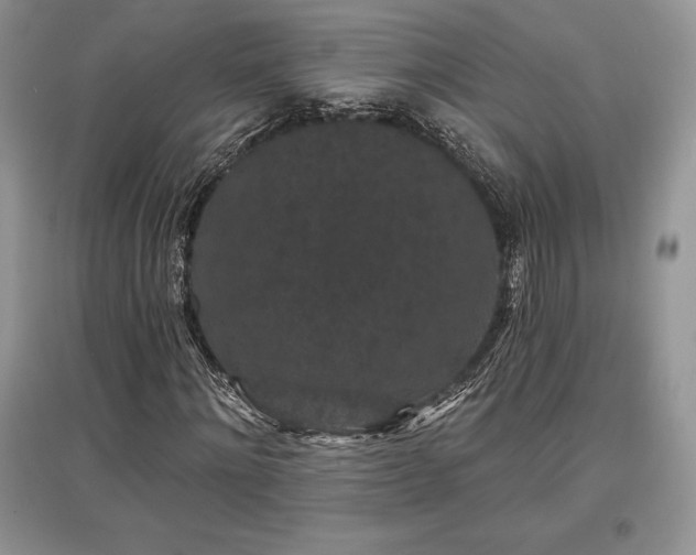 X0000097630868200803071529