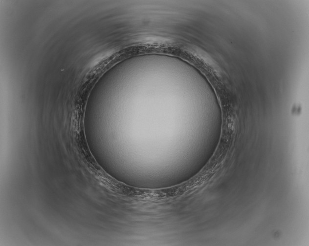 X0000097630869200803071529