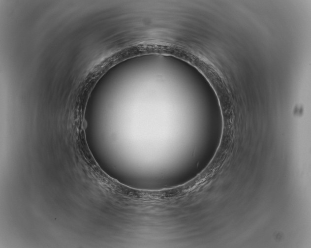 X0000097630870200803071529