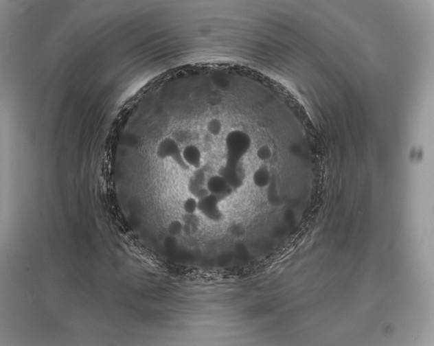 X0000097630871200803071529