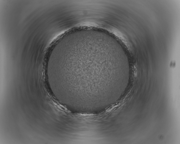 X0000097630872200803071529