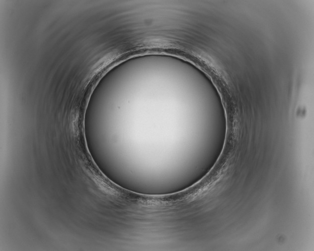 X0000097630873200803071529