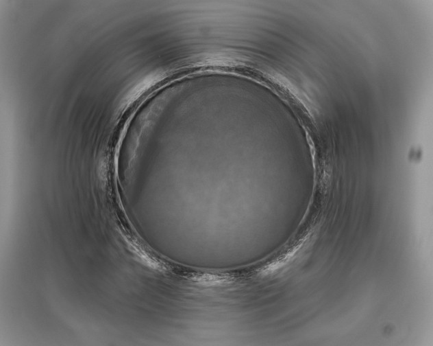 X0000097630874200803071529