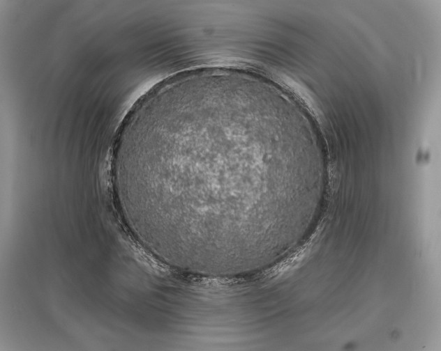 X0000097630875200803071529