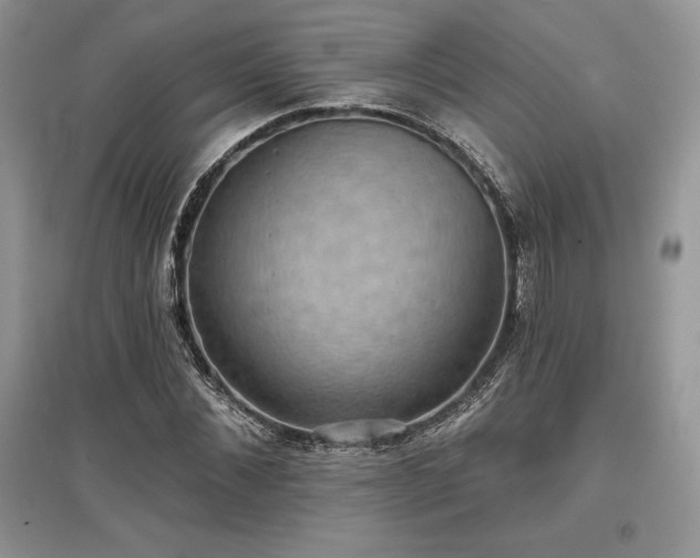 X0000097630876200803071529