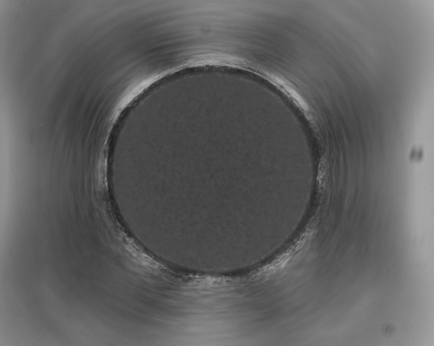 X0000097630877200803071528