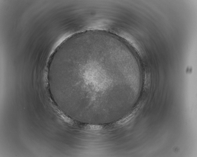 X0000097630878200803071528