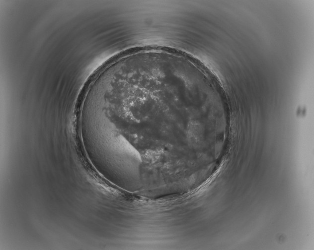 X0000097630879200803071528