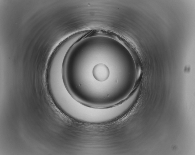 X0000097630880200803071528