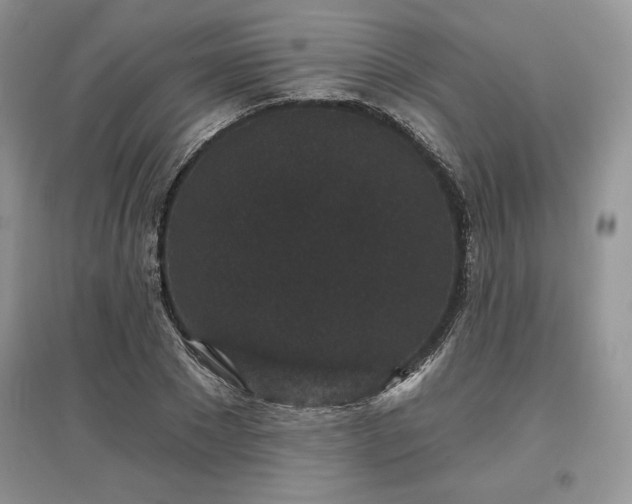 X0000097630881200803071528