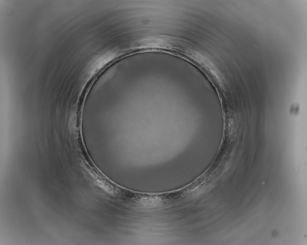 X0000097630882200803071528