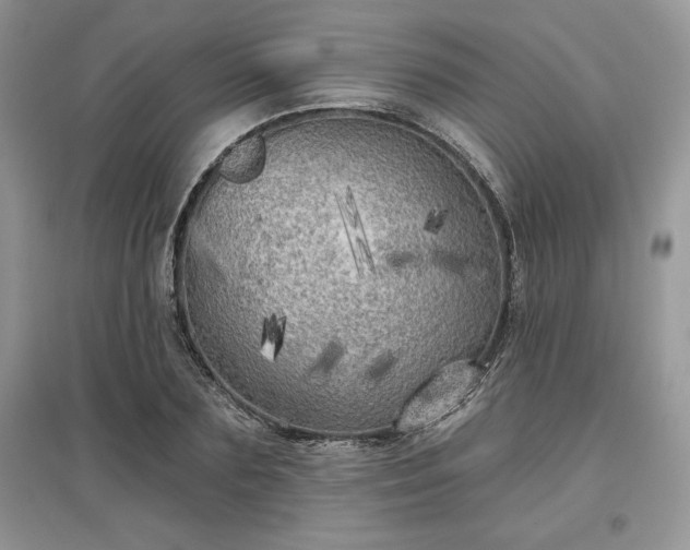 X0000097630883200803071528