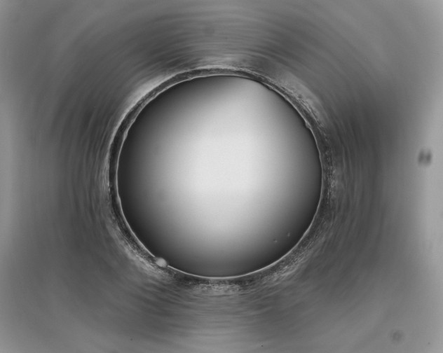 X0000097630884200803071528