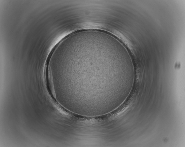 X0000097630885200803071528