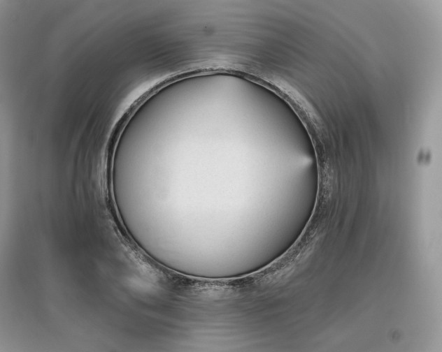 X0000097630886200803071528