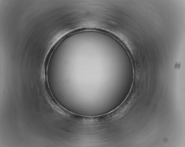 X0000097630887200803071528