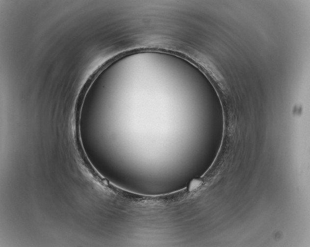 X0000097630888200803071528