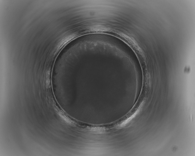 X0000097630889200803071528