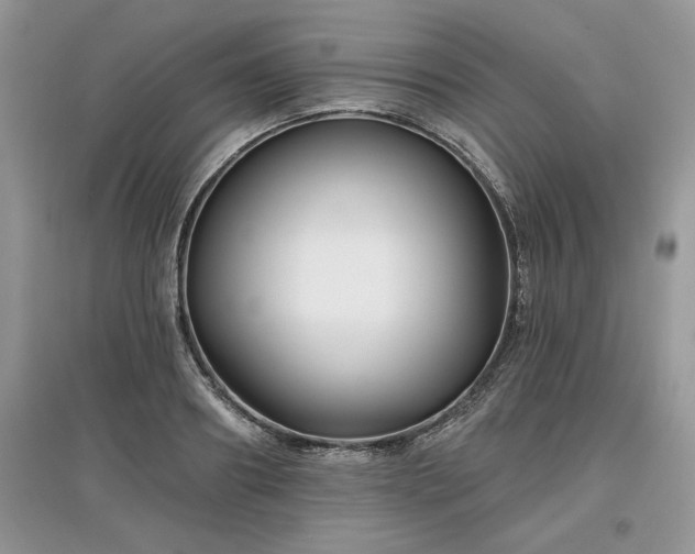 X0000097630890200803071528