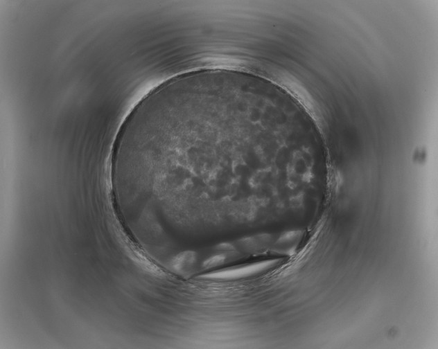 X0000097630891200803071528