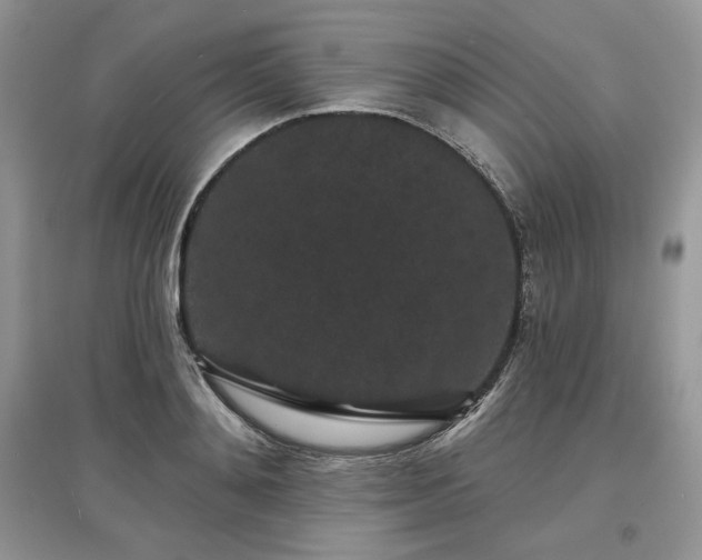 X0000097630892200803071528