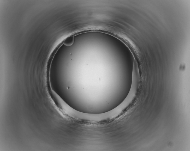 X0000097630894200803071528