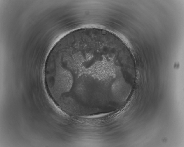 X0000097630895200803071528