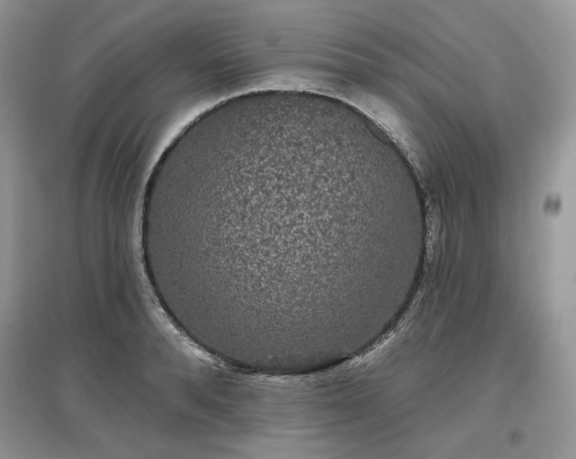 X0000097630896200803071528