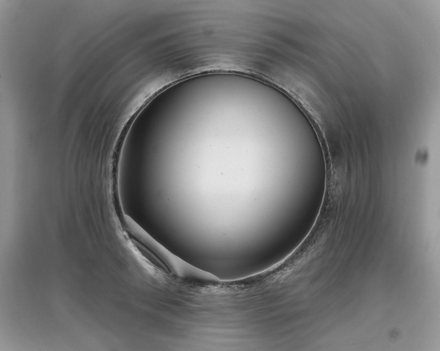 X0000097630898200803071528