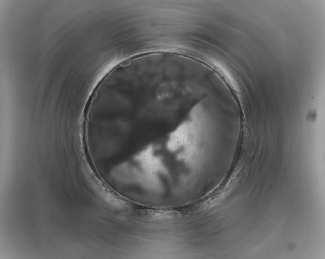 X0000097630899200803071528